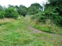 
Tredegar Park Tramroad, The curve up to the Sirhowy Tramroad, August 2012